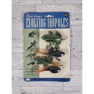 Vintage Accoutrements Evolving Tadpoles 4 Stages 1995 Nature Fish Outdoors